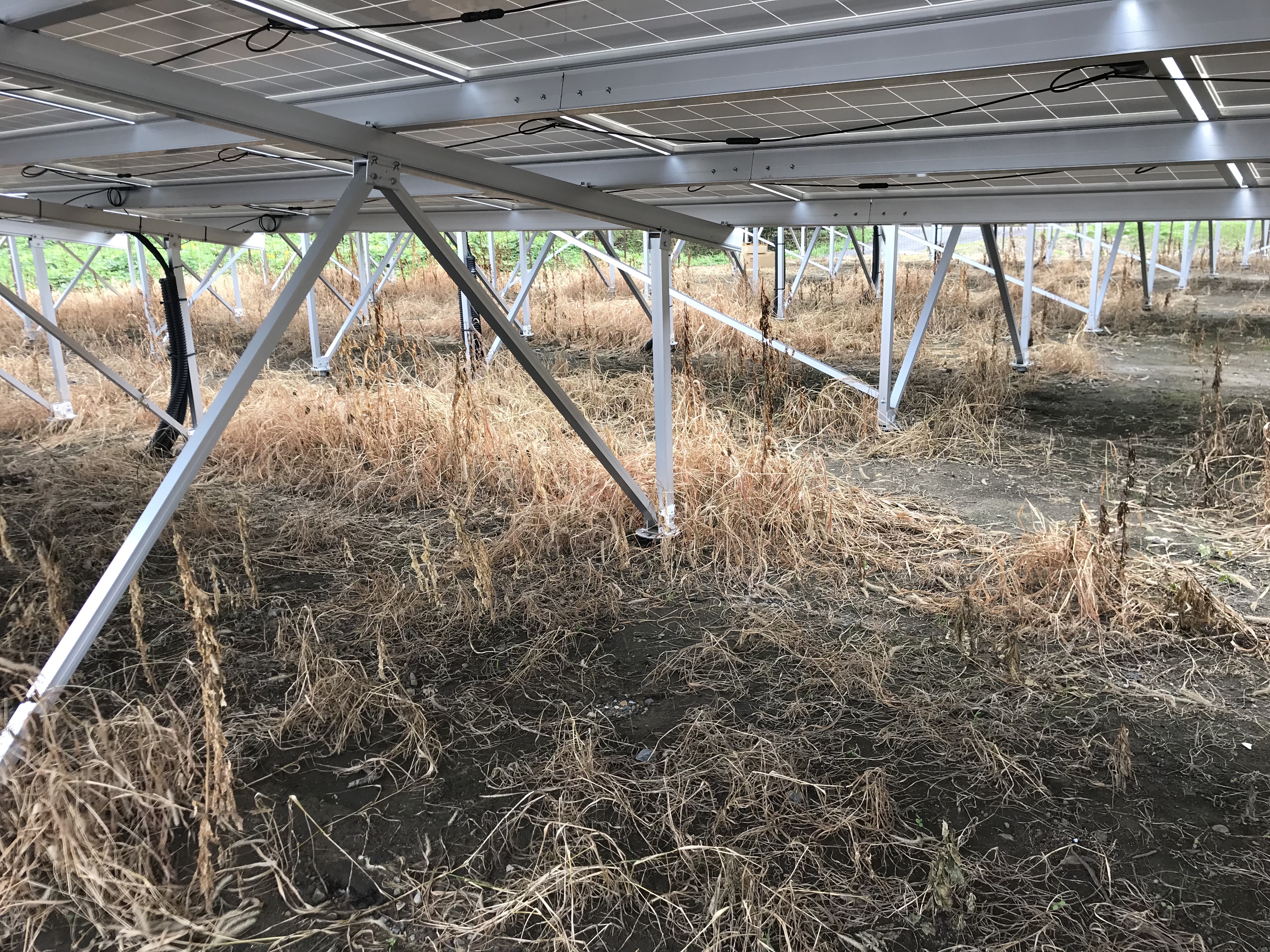 太陽光発電所　除草剤散布　草刈屋茨城牛久店