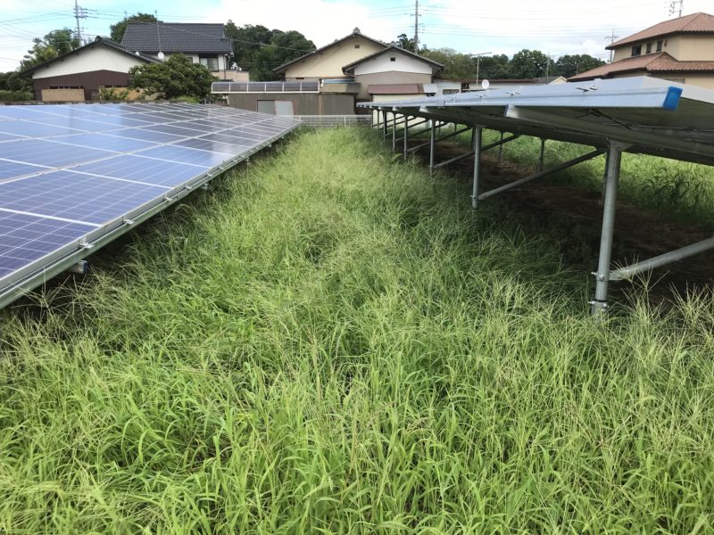 太陽光発電所　除草剤管理　茨城
