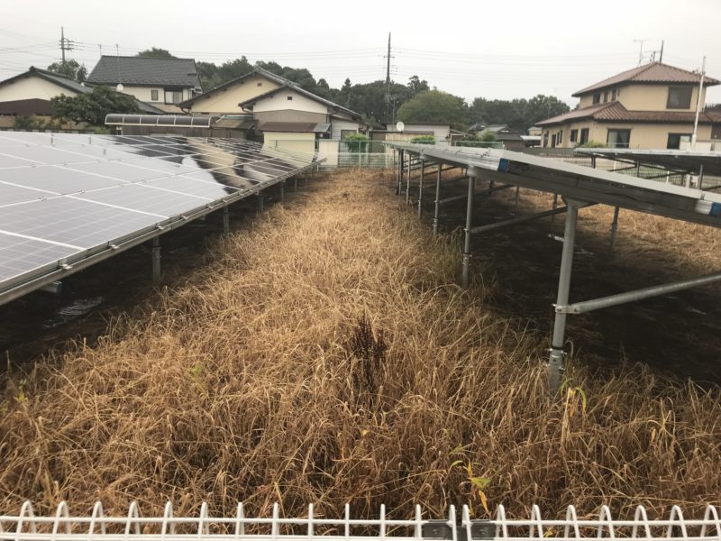 太陽光発電所　除草剤管理　茨城草刈屋