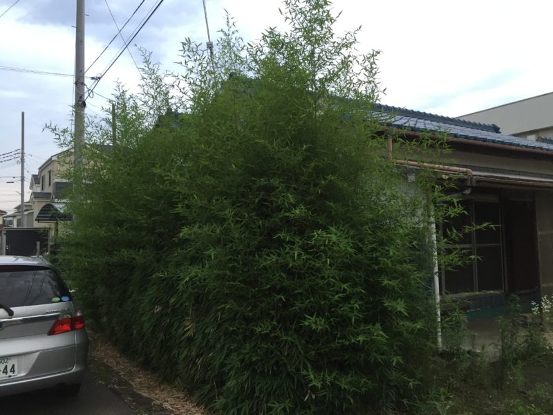 竹の伐採　草刈屋茨城牛久店